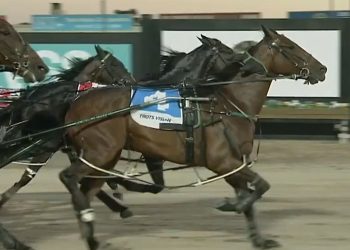 Captain Bellasario out toughs them in $130,000 Vicbred Final