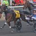 Cool Papa Bell wins again in qualifer 2 USHWA unveils trotting Dan Patch Award winners