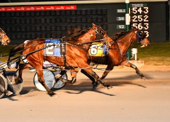 Divine Deo scores off live cover