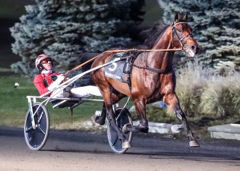 USHWA unveils trotting Dan Patch Award winners