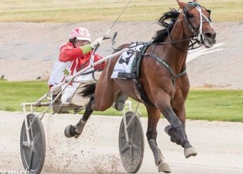 Zeus to star in Vicbred Super Series trotting heats