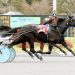 9-1 Gigfy goes gate to wire at The Spa