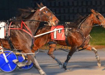 Gaitway Gal holds on for DSBF prelim sweep