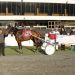 ADHC makes $5,000 donation to Harness Racing Museum