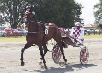 Short Invercargill Preview + pic