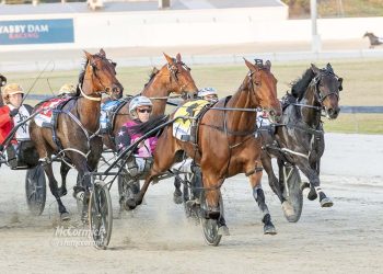 Aussie pacing queen is coming back