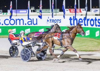 Grimson the gypsy trainer