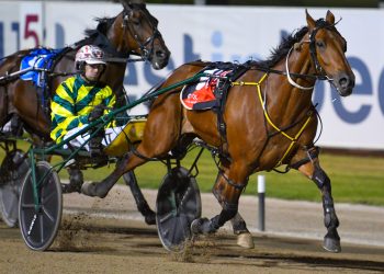 A Rocknroll Dance keeps churning out the winners