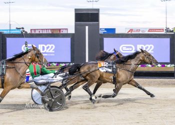 “This is something special”