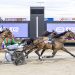 Inter Dominion trotting clean sweep 1 “This is something special”