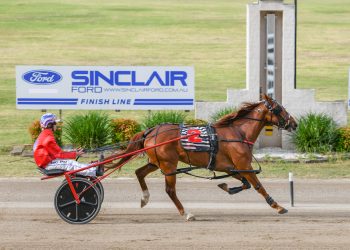 NSW Breeders Challenge Regional heat winners