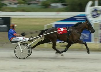 Special drench works wonders for Cup winner