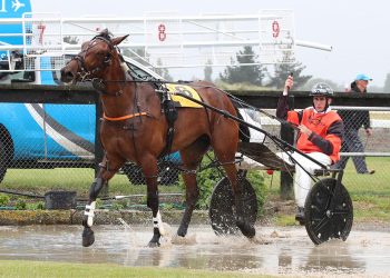 Thornley notches marvelous milestone in fathers colours