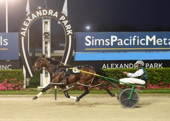 Group One next for Manhattan