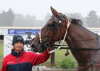 Golly good drive secures win for trainer, breeder, owner