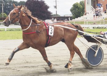 Nairn to debut a new acquisition