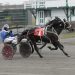 Mantario heads Charlottetown lineup 3 Mantario sprints best at Charlottetown