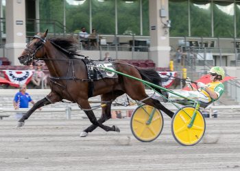 Wearinmysixshooter newest addition at Winbak