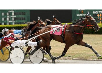 USHWA Amateur Driver of the Year is Tony Beltrami