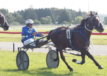 Speedsters to do battle in Fruit Bowl