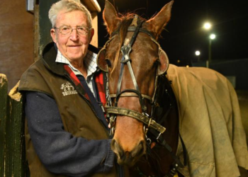 Few more experienced than Sinnamon and Forty Wives