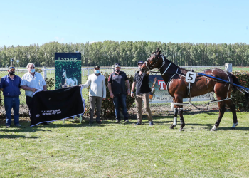 Son of Sir Lincoln joining David Aiken en route to NA