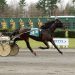 Calabrese takes AHDC Trot with Shoemaker Hanover