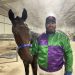 Huntsville filly looking to end debut year on a high 2 Huntsville filly looking to end debut year on a high