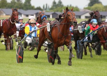 Old firm combine at Mt Harding Racecourse
