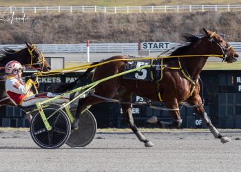 Long layoff no issue for Blue Ivy