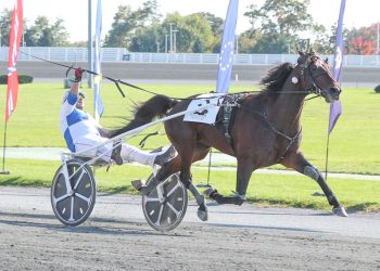 Yonkers to race 240 dates, hold top stakes schedule for 2023