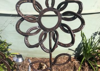 Lucky horseshoes on show at TABCorp Park