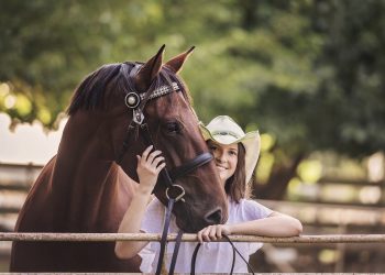 Harness racing retirees set Grace on winning path