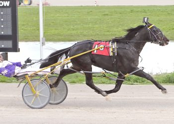 Hagemeyer Farms to stand Heart Of Chewbacca