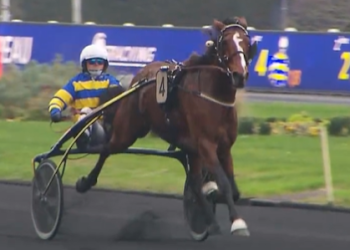 Zaccaria Bar finds success in France