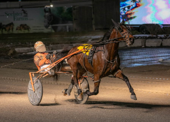 Borth big at Western Fair
