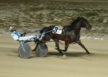 51st try the charm for Fear The Shadow