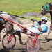 Porter bettors rewarded 2 Porter stars at home in Rosecroft-Freehold challenge