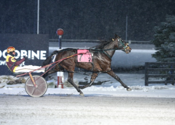 J One Twenty reaches new peak in Niagara Series demolition