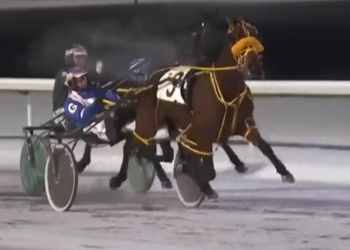 Saphire Blue drops mark in first Edmonton win