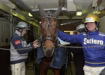 Calgary Games still perfect after late 2022 start