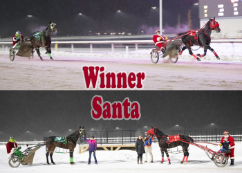 Century Mile brings the Christmas cheer