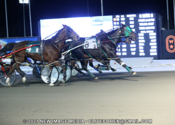 Dark Moves snags Pop-up Final for new owner