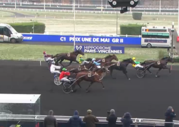 Cornulier qualifiers highlight 920,000€ of Groupe action