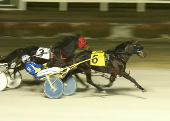 Ideal Perception takes charge in repeat win