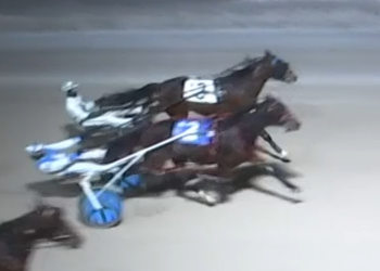 Big duel decides Western Fair Preferred