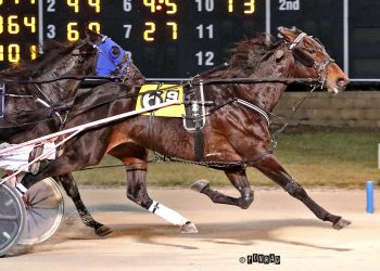Track record set for older trotters