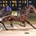 Track record set for older trotters