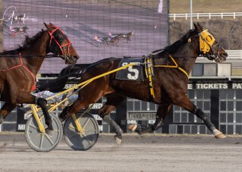 Favorite cruises in Meadows feature trot