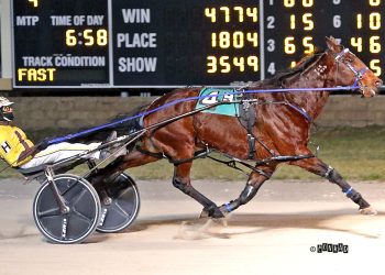 Top Dayton gelding rides into 12th win of year